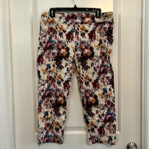 Studio West Floral Capris in Cream, Burgundy & Blue